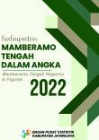 Kabupaten Mamberamo Tengah Dalam Angka 2022